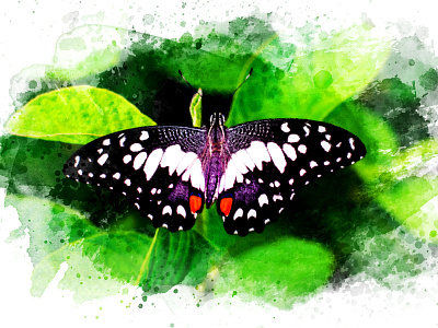 Watercolor Effect effect photoshop watercolor