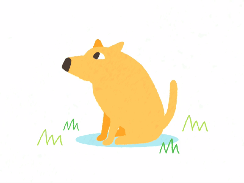 Woof animation