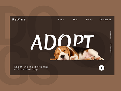 PetCare animation app art design graphic design illustration typography ui ux website