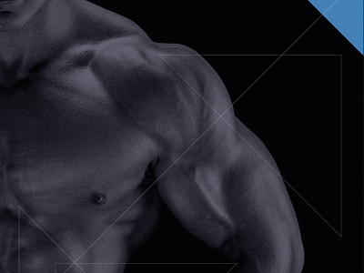 Bodybuilding Supplies body bodybuilder bodybuilding bodymovin catalogue fitness indesign muscle print print design
