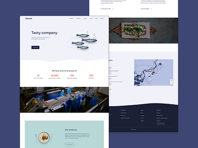 Delsy branding delsy design development ui ux web