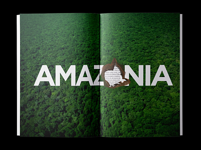 Magazine ad for ONG Greenpeace about burning in the Amazôni - Br