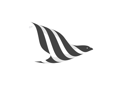 Bird Logo bird branding fly logo