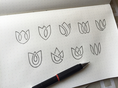 Lotus Logo Exploration 