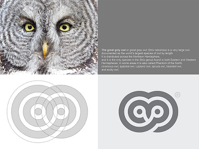 The Great Grey Owl Logo