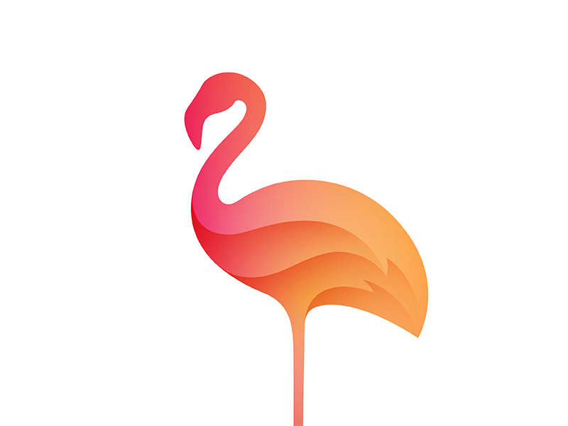 Flamingo by Yoga Perdana on Dribbble