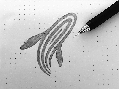 Whale Logo Sketch