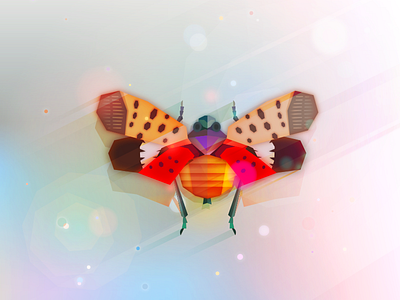 The Fulgoroidea color fulgoroidea illustrator insect vector