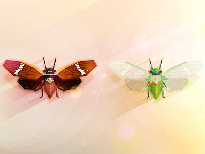 Cicada cicada cicala cicale color illustrator insect vector