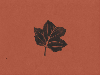Tulip Poplar Leaf Icon branding design designer graphic graphic design hand drawn icon illustration illustration art illustrator leaf logo louisville