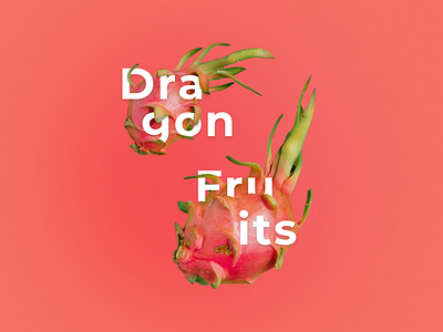 Dragon Fruits illustration branding design graphic design illustration typography ui ux vector