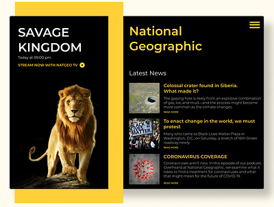 National Geographic branding design minimal ui web