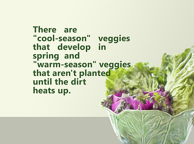 Vegetable Planting Guide