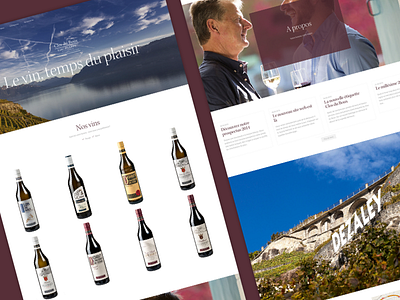 Wine // Enjoying passion animations e commerce e shop lavaux tbnt ui ux web website wine