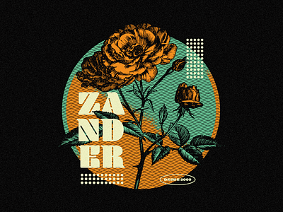 Zander apparel hardcore illustration illustrator merch vector zander