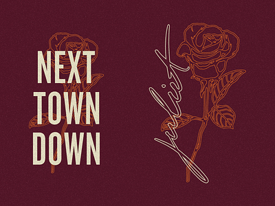 Next Town Down apparel band illustration merch next town down vector