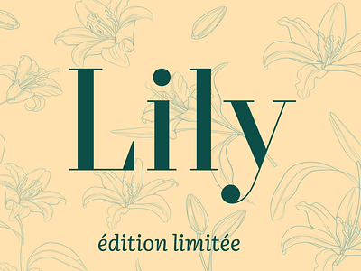 Lily branding flowers graphic design illustration lily logo perfume product design ui vector