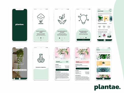 plantae - plant diagnosis app