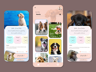 Adopt Me adobe adobexd adopt adoption app cat design dogs minimal pet pets ui ux xd xd design