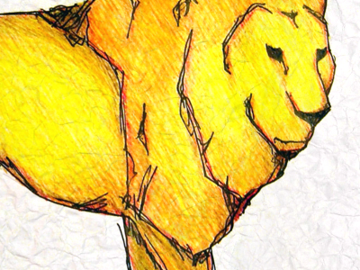 The Walla Recovery - Lion colored pencil fiction lion sketch story walla recovery