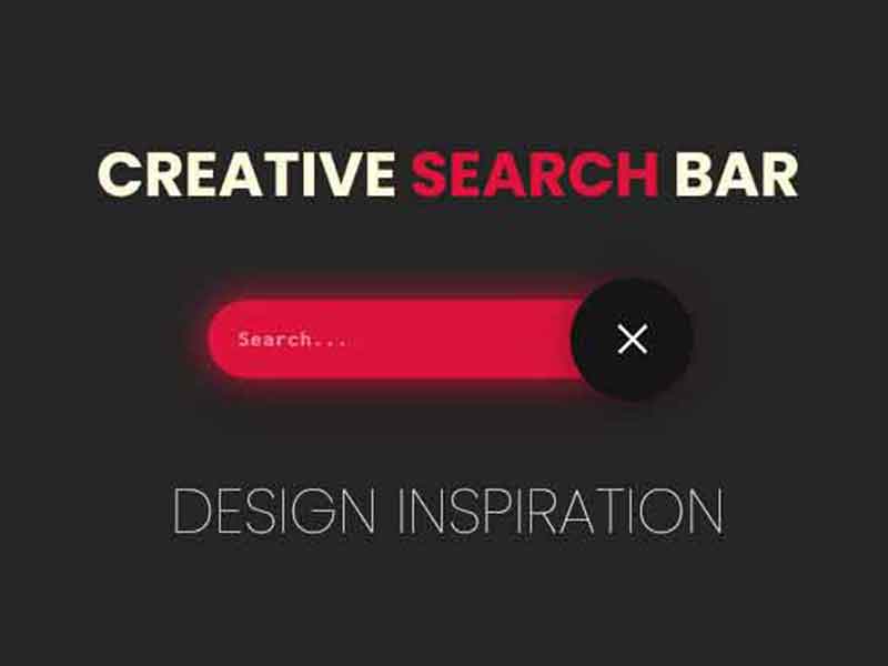 creative search box design
