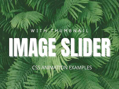 CSS Image Slider with Thumbnails css css animation css animations css snippets css3 frontend html html css html5 webdesign