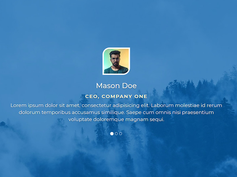 Simple Bootstrap Testimonial Slider By Codingflicks On Dribbble