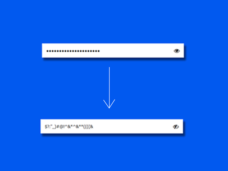 Show Hide Password Using Javascript By Codingflicks On Dribbble