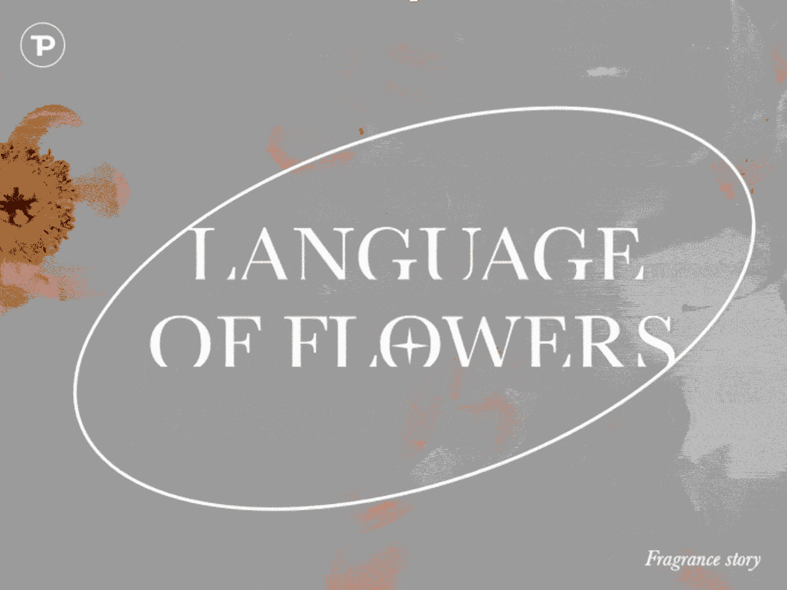 Language of Flowers | Presentation deck design editorial design graphic design keynote minimal powerpoint presentation
