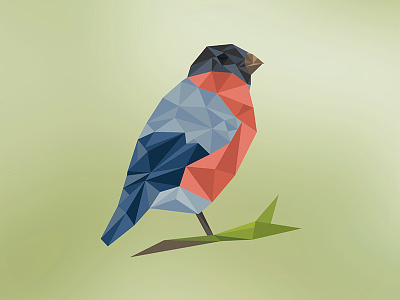 Lowpoly bird - first shot bird design flat illustration illustrator lowpoly triangle triangulation