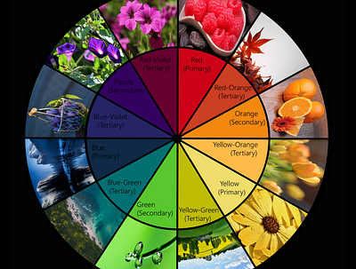 Color Wheel colortheory illusions inspired