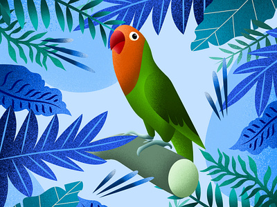 Lovebird design illustration lovebirds raster vector