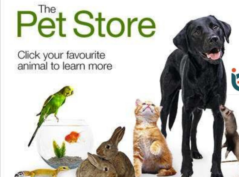 pets order online