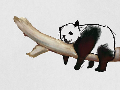 Panda drawing illustration panda