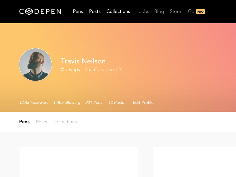 Codepen Concept 'WIP' By Tim Bogdanov On Dribbble