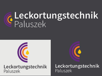 Leckortungstechnik Paluszek 2/2 brandin corporate design design detection leak logo modern