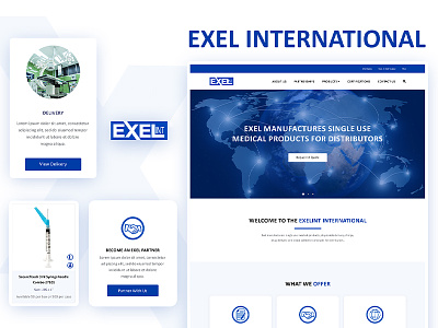 Exel International Website medical website medicine website oapps infotech ui ux design uidesign web development website design