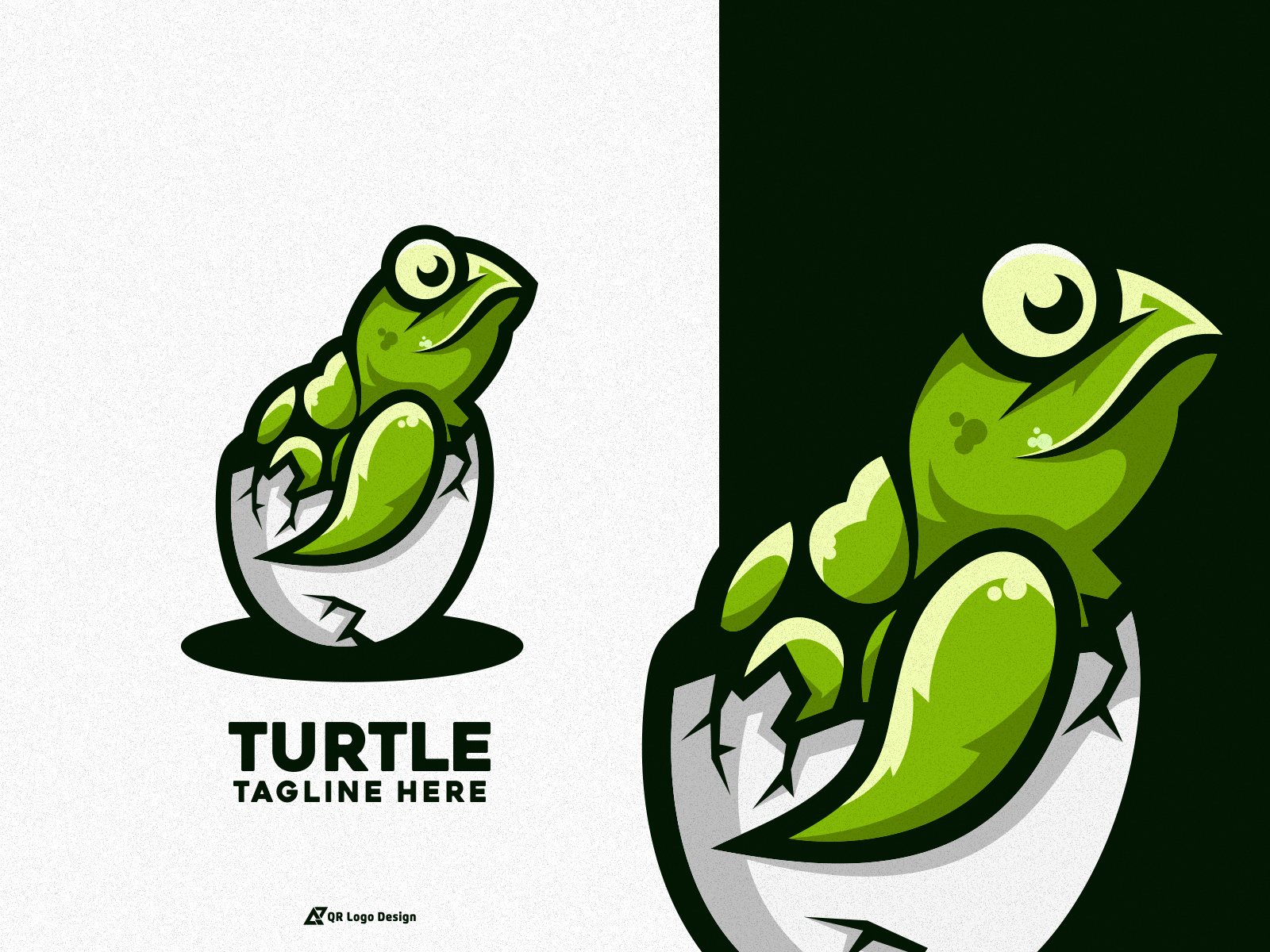 turtle-logo-design-by-qr-design-studio-on-dribbble