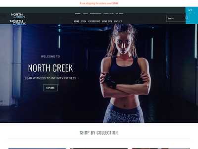 Shopify Dropshipping Store automated store automated store dropshipping store niche based automated store one product dropshipping store shopify store