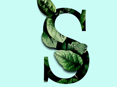clipping mask leaf digitalart graphicdesign leaves letter s lettering text