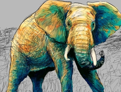 Elephant illustration pintura digital