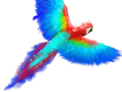 Parrot animal illustration pintura digital