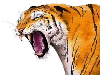 Tiger animal illustration pintura digital
