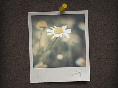 Polaroid Menu WIP cork board flower game indie pin polaroid realistic ui