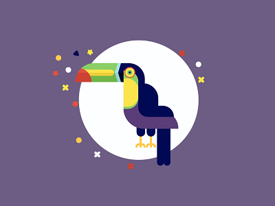 Toucan