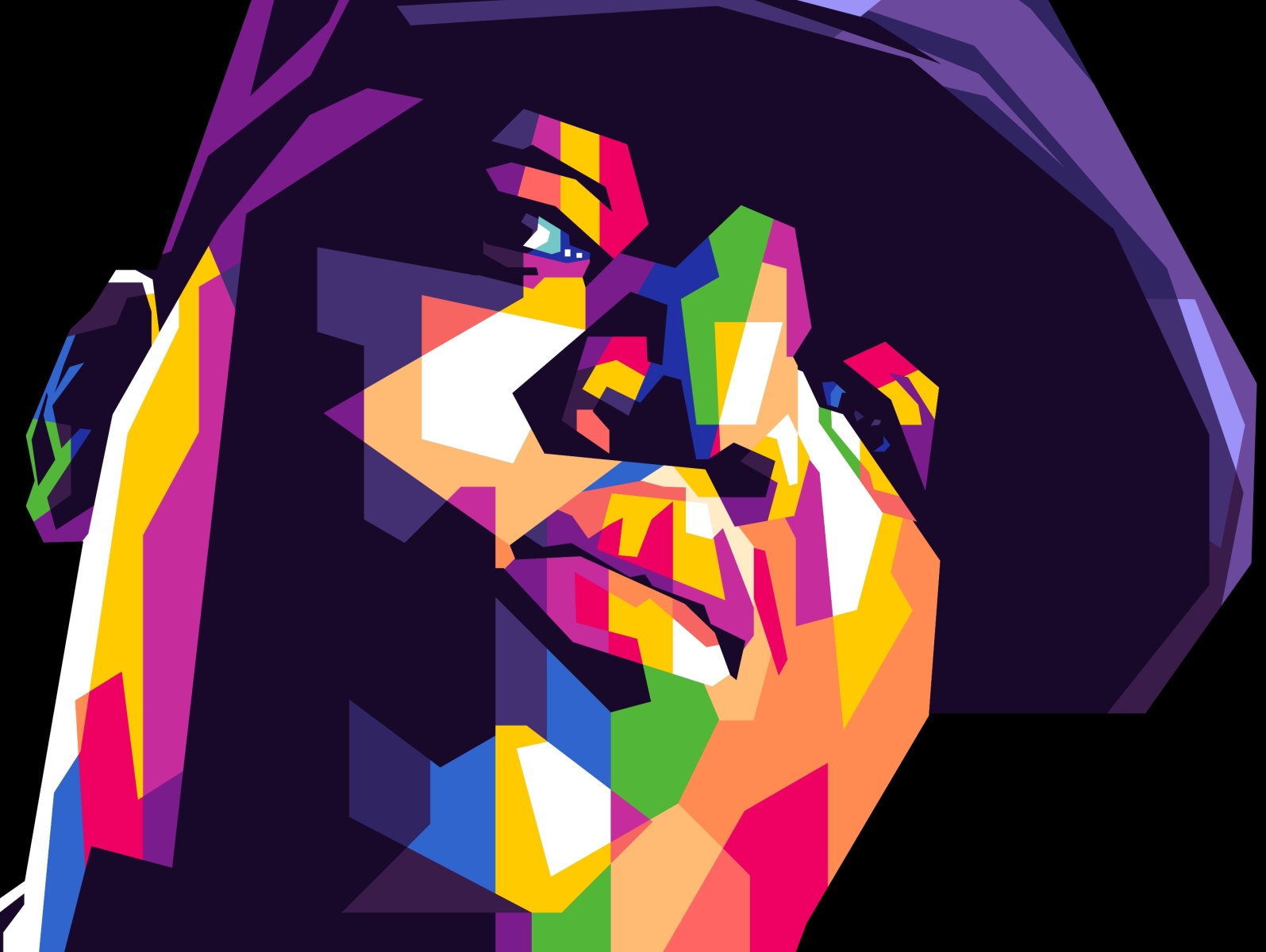 Rapper adobe ilustrator amazing art big coreldraw digital arts eminem gift illustration notorious pop art rapper wpap