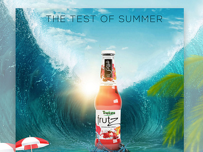 The Test of Summer