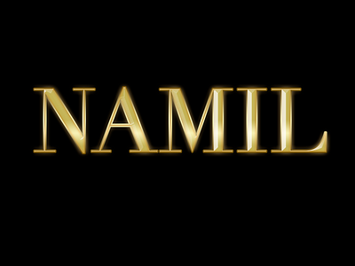 NAMIL design golden illustration logo photoshop