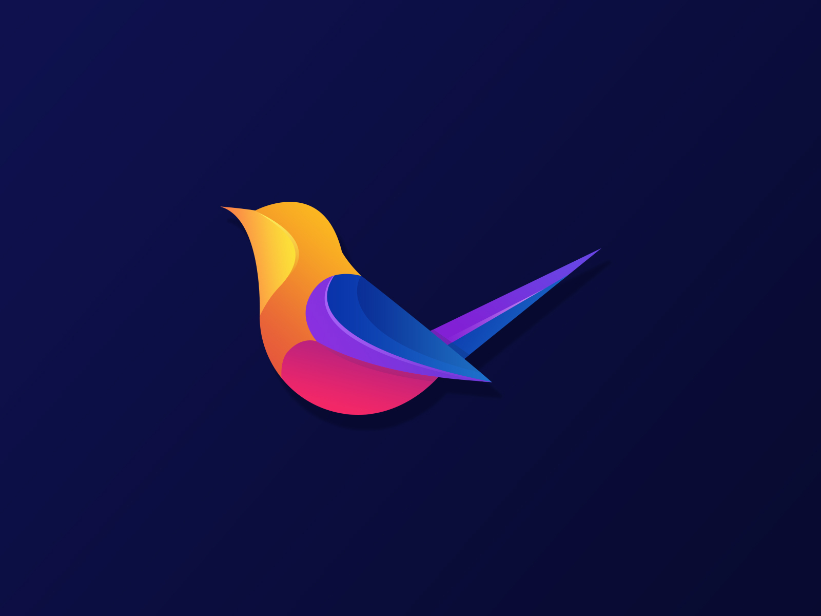 Colorful logo design bird by animART on Dribbble