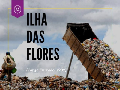 Curta Ilha das Flores